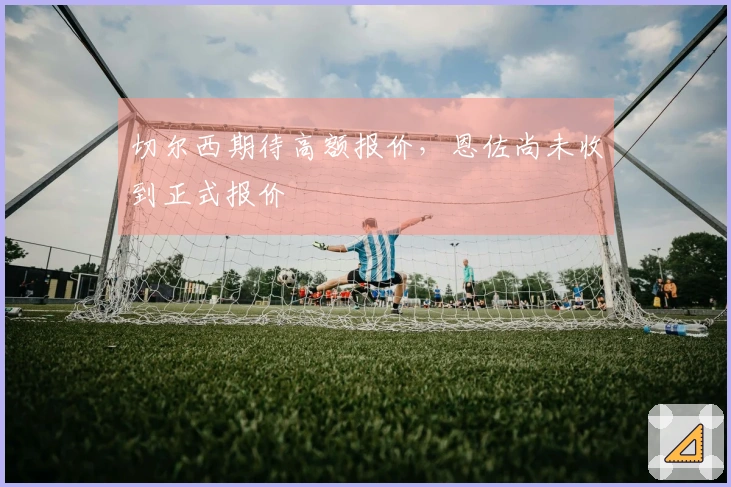 切尔西期待高额报价，恩佐尚未收到正式报价