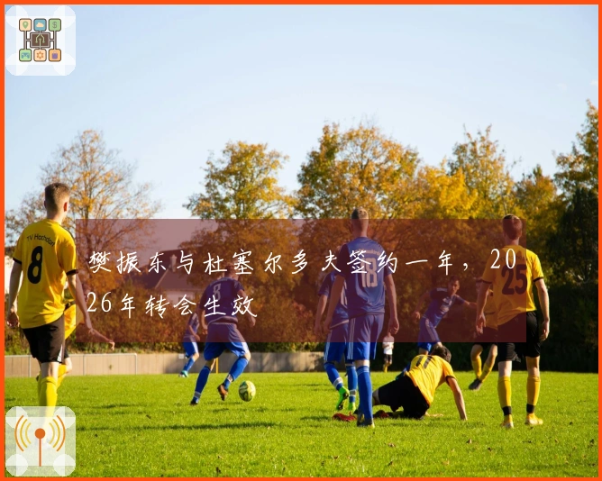 樊振东与杜塞尔多夫签约一年，2026年转会生效